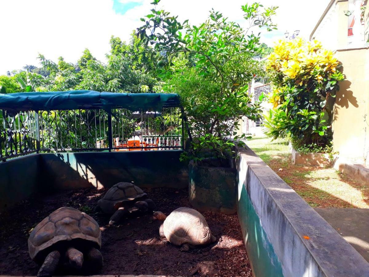 Hibiscus House Seychelles Self Catering Victoria Exterior foto